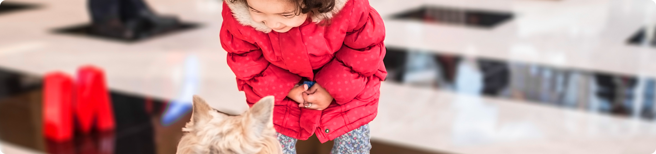 A little girl and a dog in a Metro store